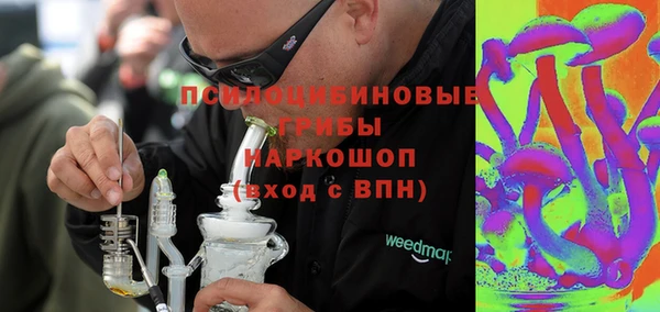 соль ск Алексин