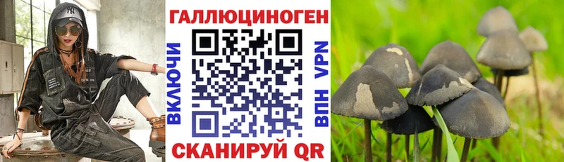 Галлюциногенные грибы Cubensis  darknet Telegram  Ак-Довурак  гидра вход 